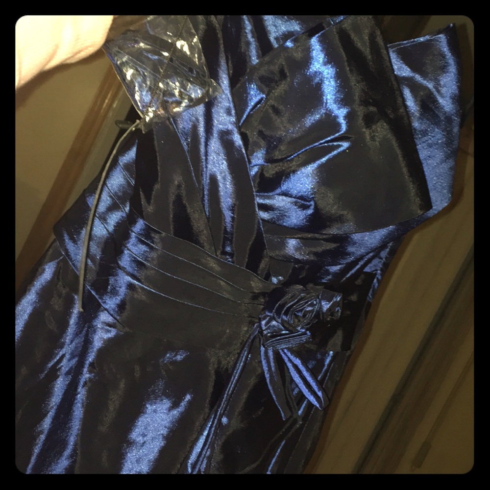 Beautiful Dia Collection Dress/gown